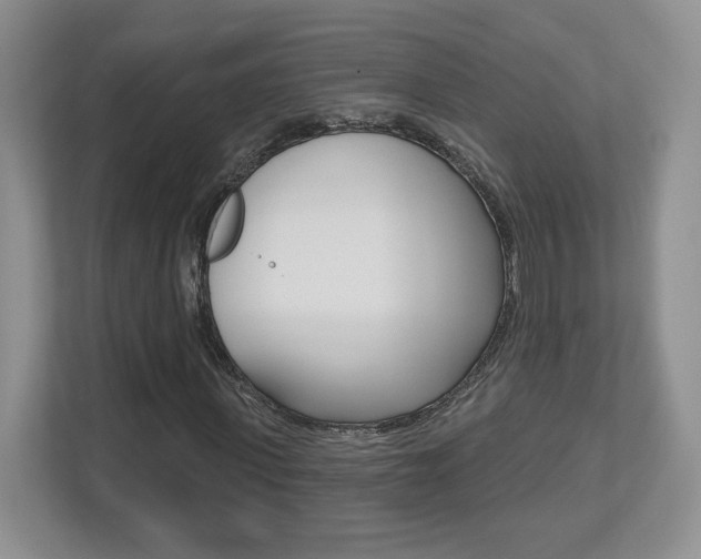 X0000112540915200908171202