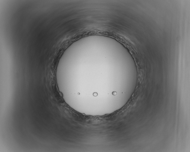 X0000112540917200908171203