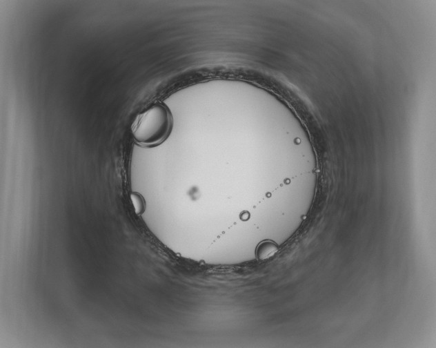 X0000112540918200908171203