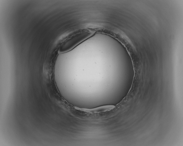 X0000112540920200908171203