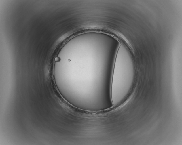 X0000112540922200908171203