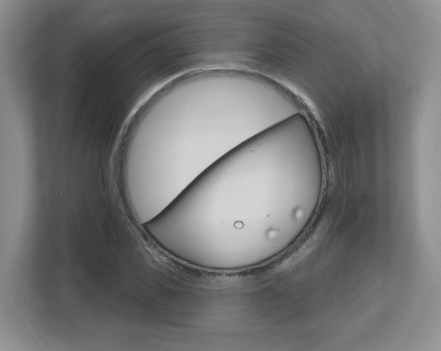 X0000112540925200908171203