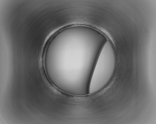 X0000112540928200908171203