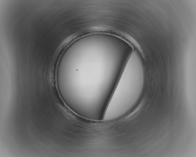 X0000112540930200908171203