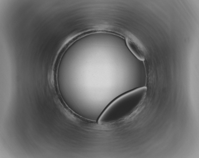 X0000112540932200908171203