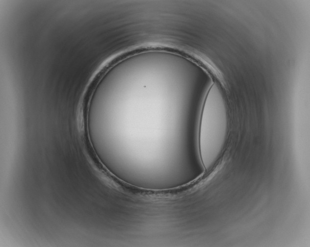 X0000112540934200908171203