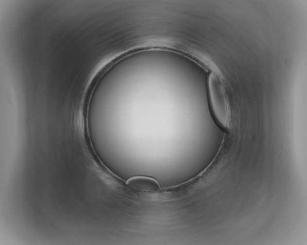 X0000112540936200908171203