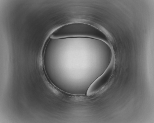X0000112540940200908171203