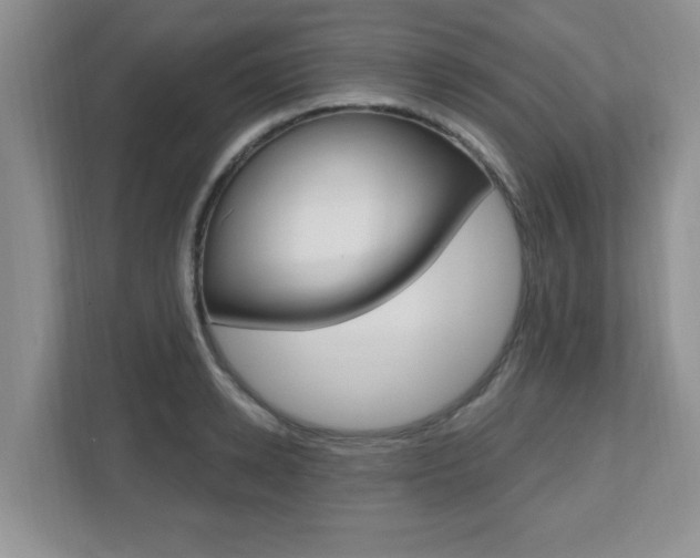 X0000112540942200908171203