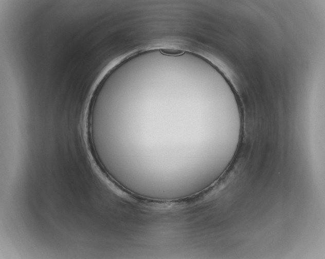 X0000112540949200908171203