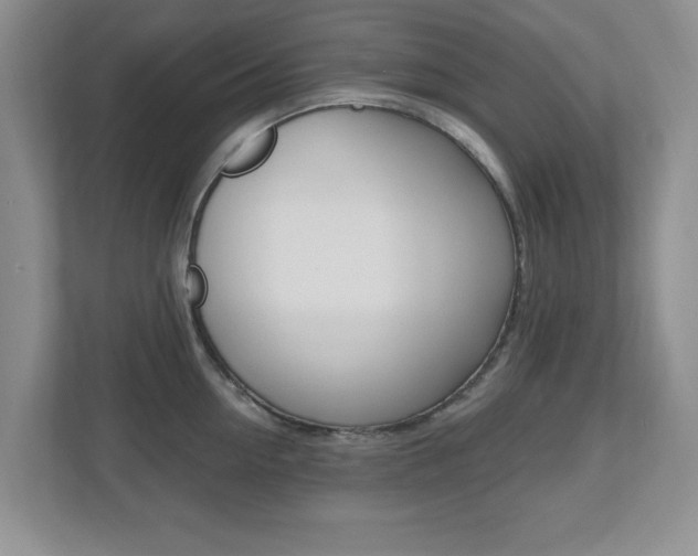 X0000112540954200908171203