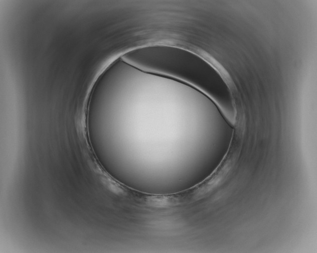 X0000112540956200908171203