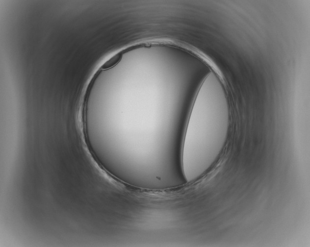 X0000112540959200908171203