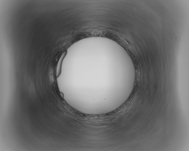 X0000112540962200908171202