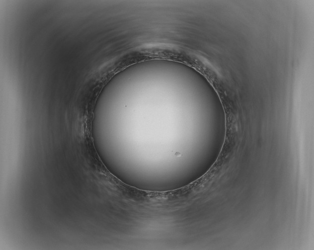 X0000112540965200908171202