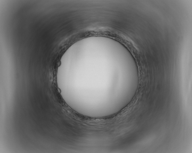 X0000112540966200908171202
