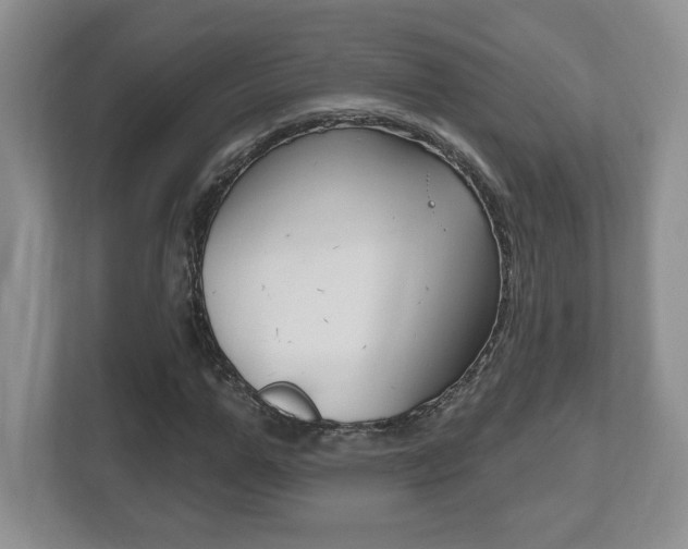 X0000112540967200908171202