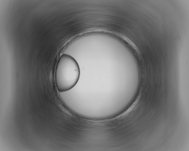 X0000112540969200908171202