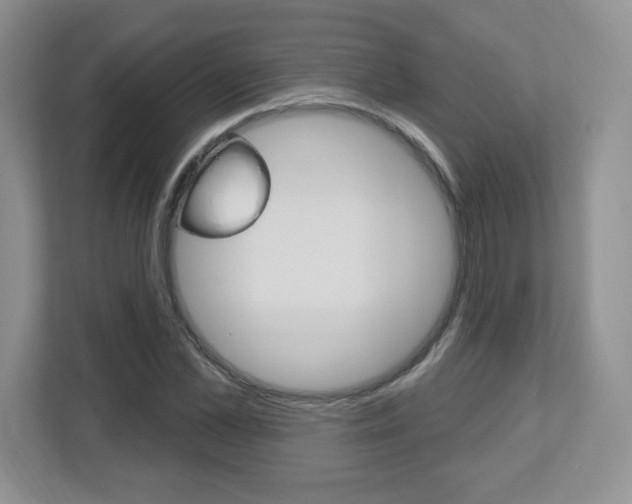 X0000112540973200908171202
