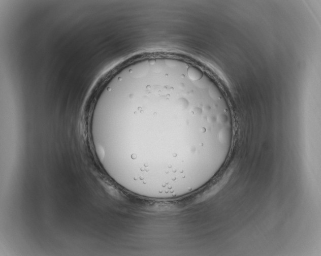 X0000112540974200908171202