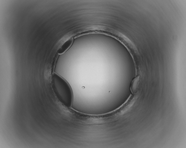 X0000112540977200908171202
