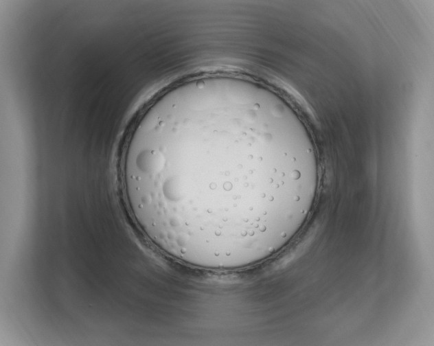 X0000112540978200908171202