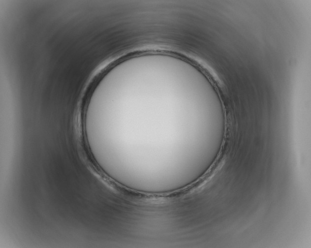 X0000112540982200908171202