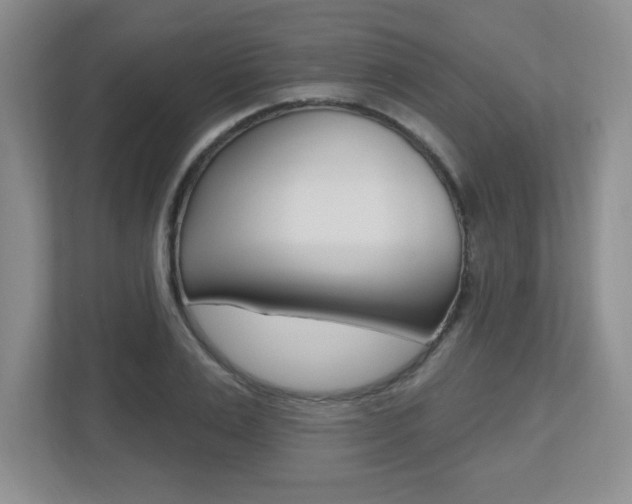 X0000112540983200908171202