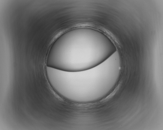 X0000112540985200908171202