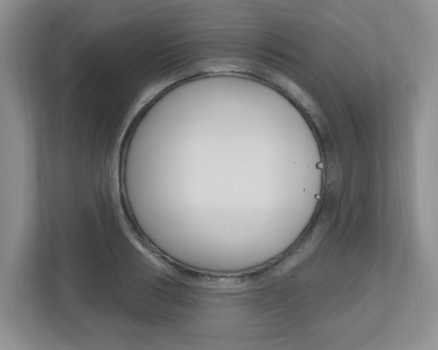 X0000112540986200908171202