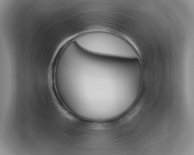 X0000112540987200908171202