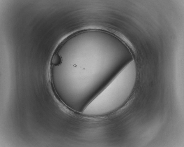 X0000112540988200908171202