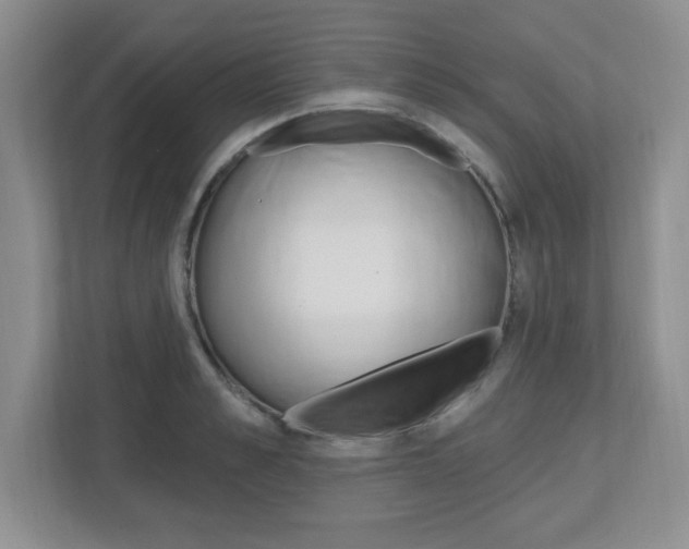 X0000112540989200908171202