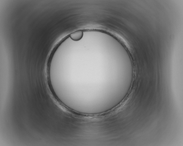 X0000112540990200908171202