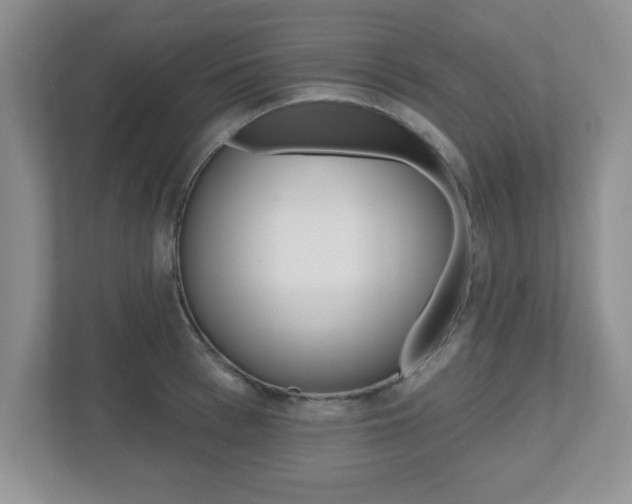 X0000112540993200908171202