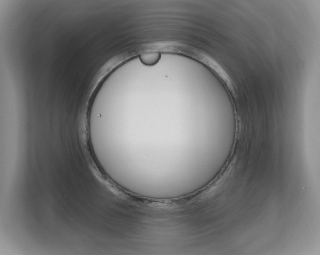 X0000112540994200908171202