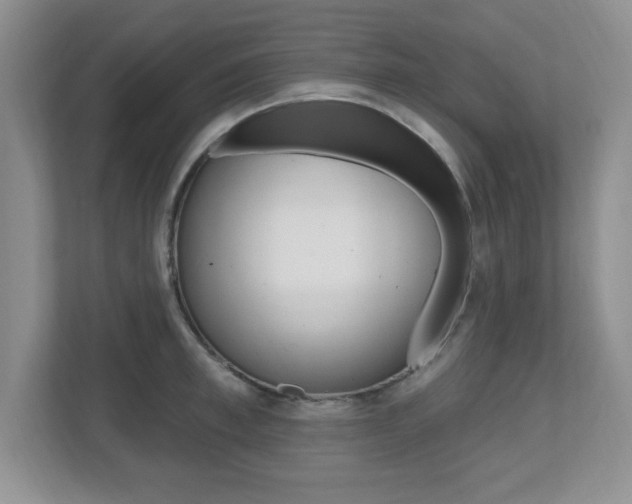 X0000112540997200908171202