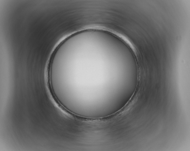 X0000112540999200908171202