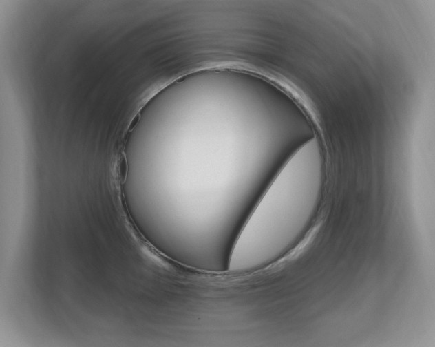 X0000112541001200908171202