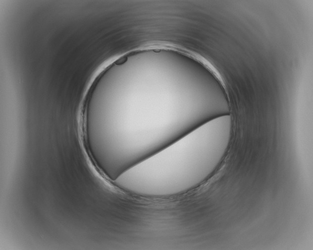 X0000112541003200908171202