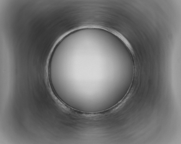 X0000112541004200908171202