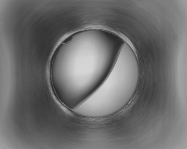 X0000112541005200908171202