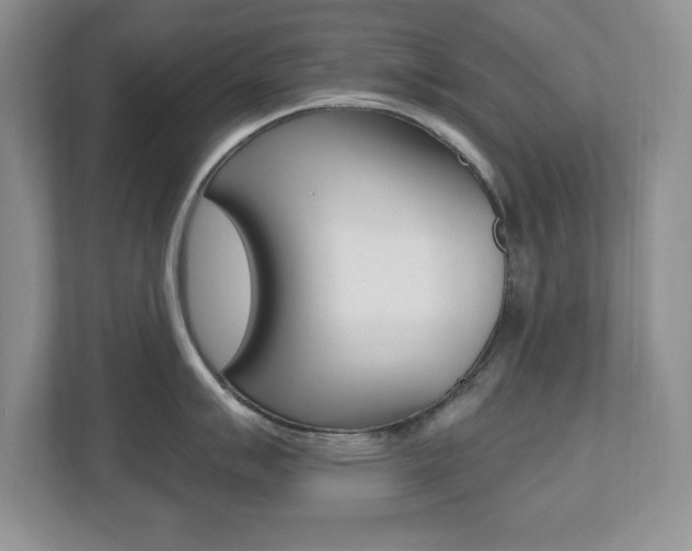 X0000112541007200908171202