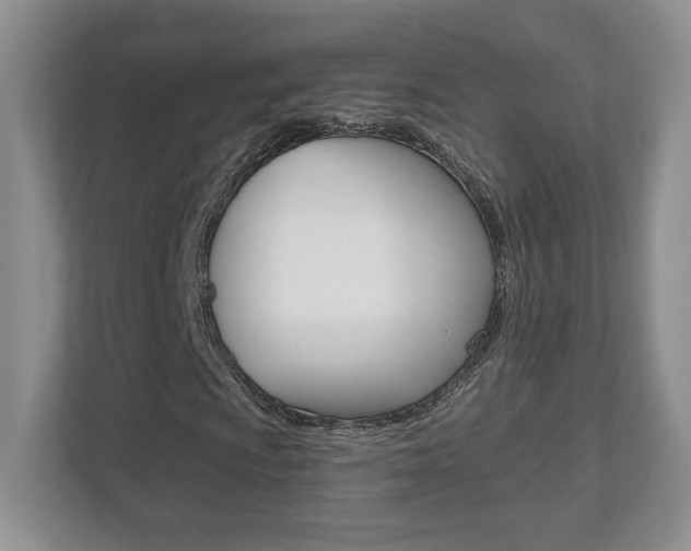 X0000112541009200908171201