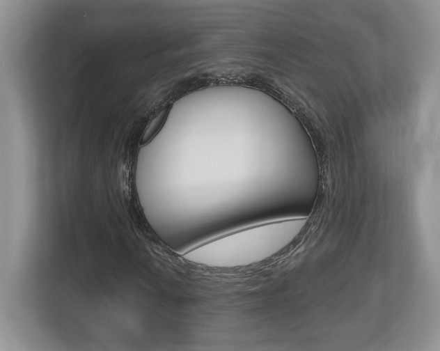 X0000112541010200908171201