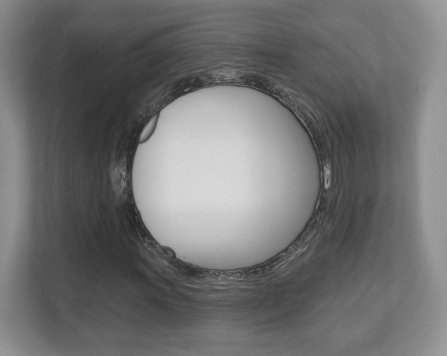 X0000112541011200908171201