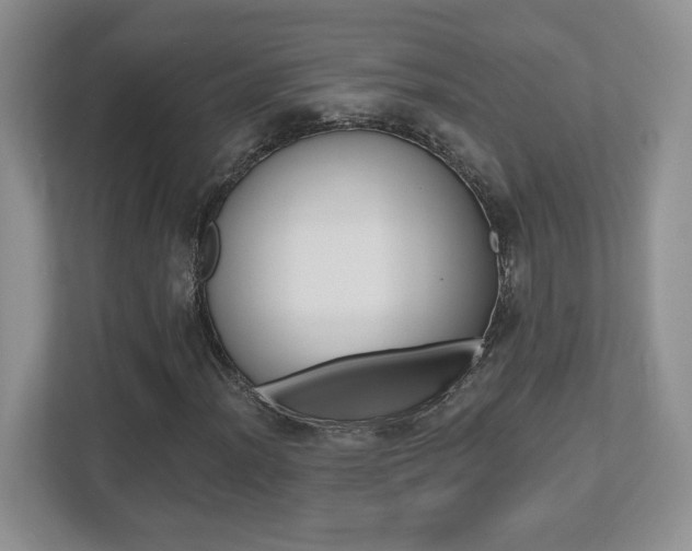 X0000112541012200908171201
