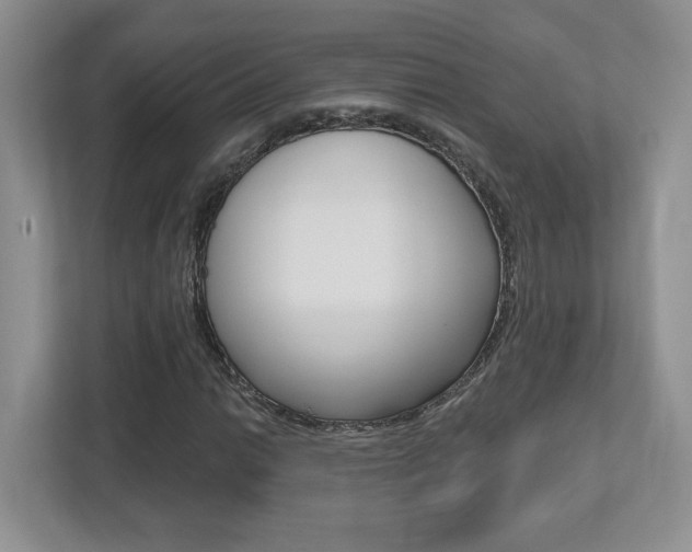 X0000112541014200908171201