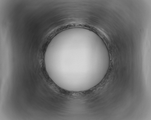 X0000112541015200908171201