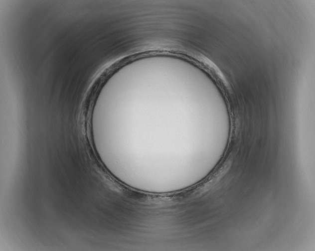 X0000112541019200908171201